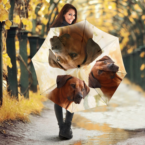 Rhodesian Ridgeback Print Umbrellas- Limited Edition