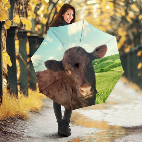 Sussex cattle (Cow) Print Umbrellas