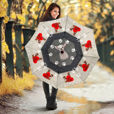 Cute Chihuahua Dog Print Umbrellas