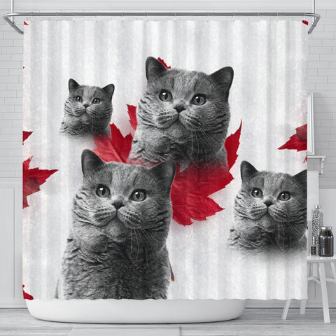 British Shorthair Print Shower Curtains