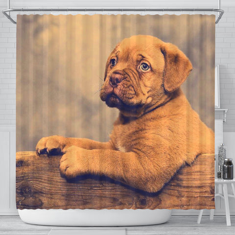 Dogue De Bordeaux (Bordeaux Mastiff) Puppy Print Shower Curtains