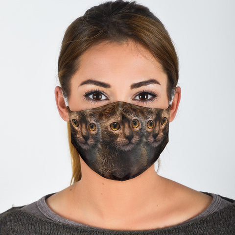 Lovely Lykoi Cat Print Face Mask