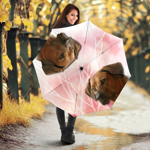 Cute Rhodesian Ridgeback Print Umbrellas