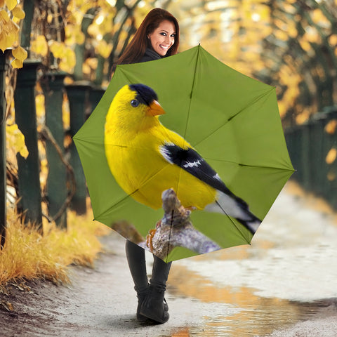 Goldfinch Bird Print Umbrellas