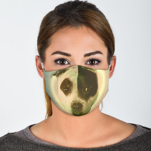 Amazing Staffordshire Bull Terrier Print Face Mask