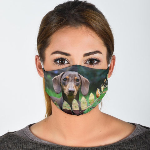 Dachshund Dog Print Face Mask