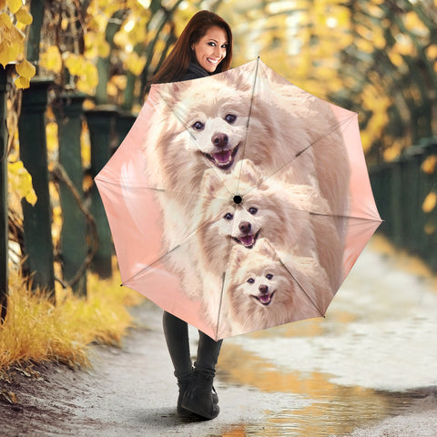 Cute Pomeranian Print Umbrellas