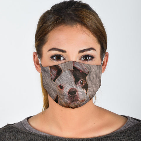Boston Terrier Print Face Mask-Limited Edition