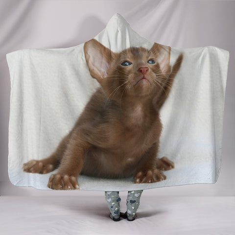 Oriental Shorthair Cat Print Hooded Blanket