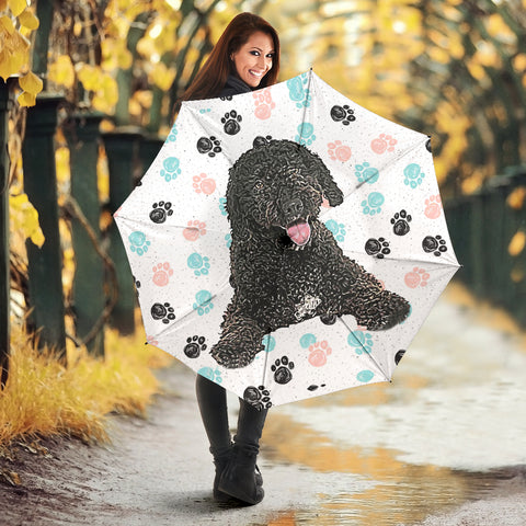 Spanish Water Dog Print Umbrellas