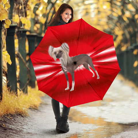 Chinese Crested Dog Red Print Umbrellas