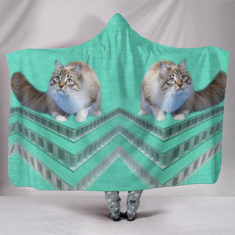 Ragamuffin cat Print Hooded Blanket