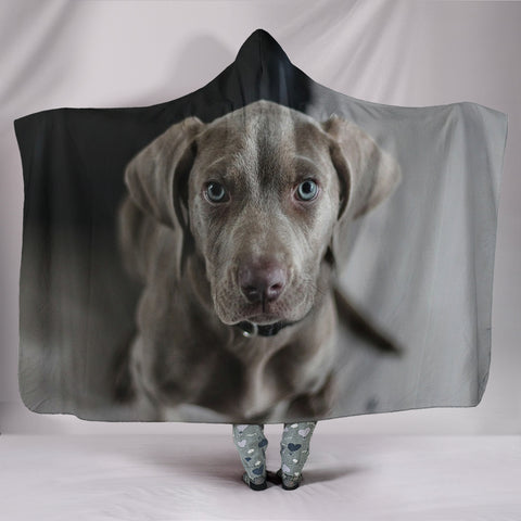 Amazing Weimaraner Dog Print Hooded Blanket