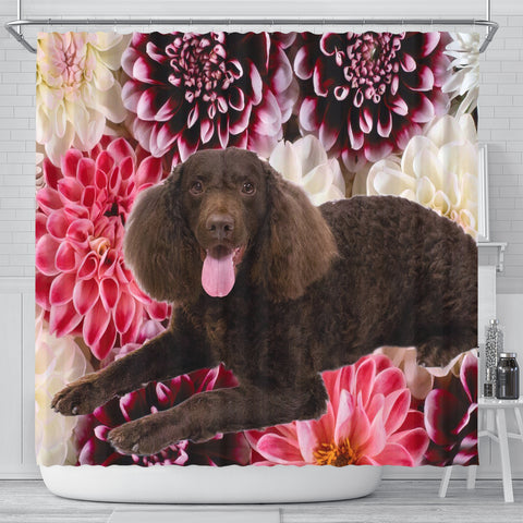 Cute American Water Spaniel Print Shower Curtains