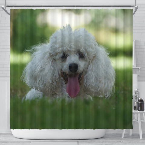 Cute Poodle Puppy Print Shower Curtains
