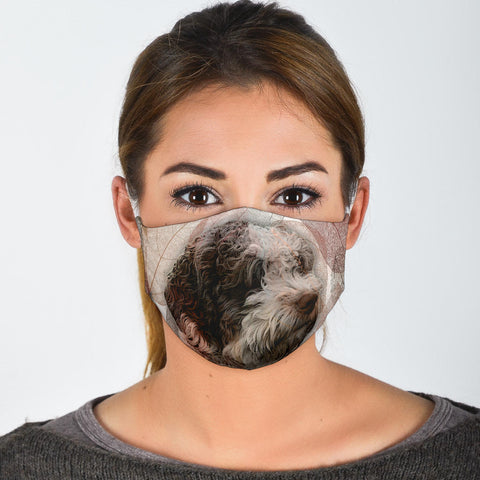 Lovely Spanish Water Dog Print Face Mask
