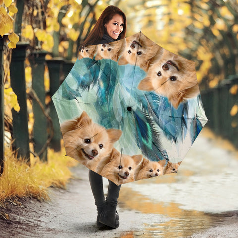 Pomeranian Print Umbrellas