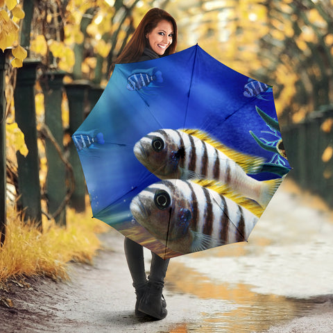 Afra cichlid fish Print Umbrellas