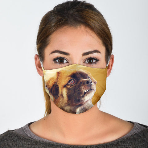 Tibetan spaniel Print Face Mask