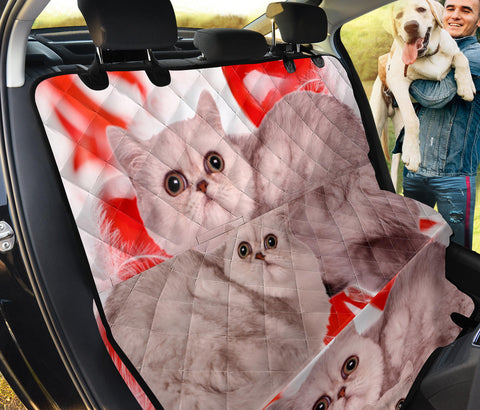 Exotic Shorthair Print Pet Seat Covers