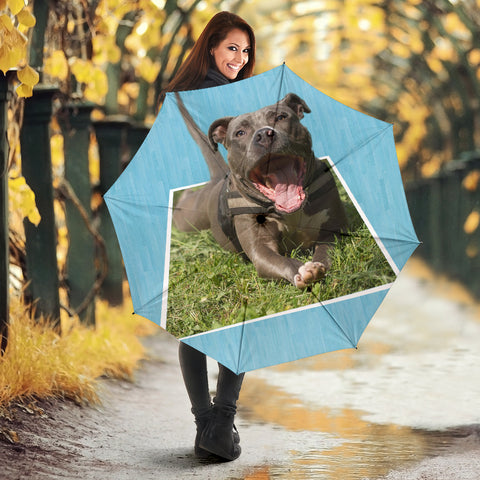 American Pit Bull Terrier Dog Print Umbrellas