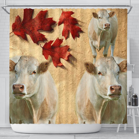 Charolais Cattle (Cow) Print Shower Curtain