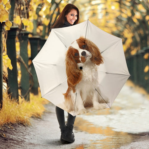 Cavalier King Charles Spaniel Print Umbrellas