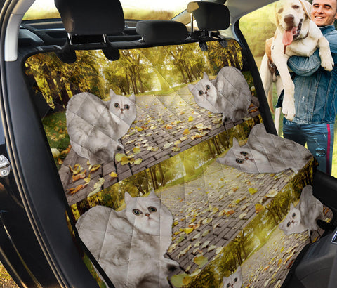 Lovely Exotic Shorthair Print Pet Seat Covers
