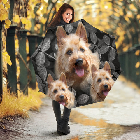 Australian Terrier Print Umbrellas