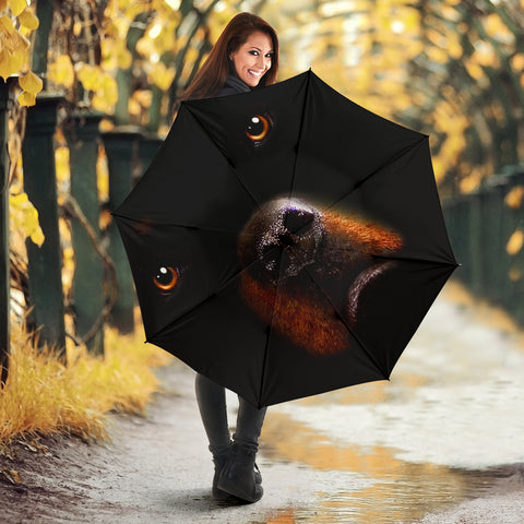 Rottweiler On Black Print Umbrellas