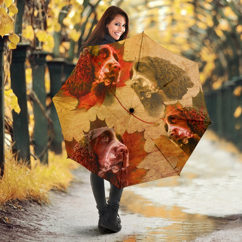 English Springer Spaniel Print Umbrellas- Limited Edition