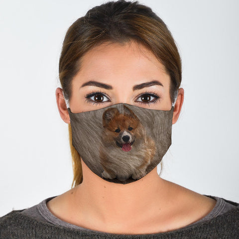 Pembroke Welsh Corgi Print Face Mask