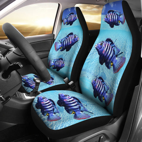 Afra Cichlid Fish Print Car Seat Covers