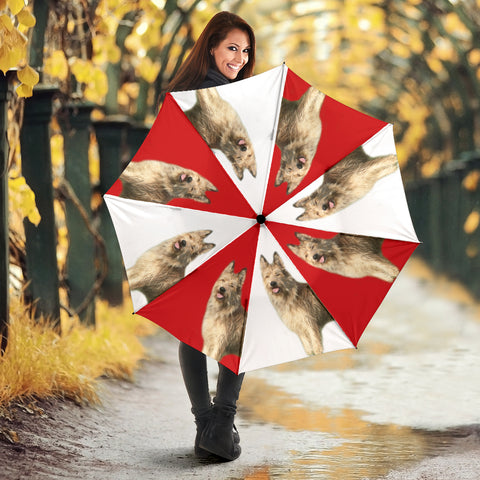 Berger Picard Dog Print Umbrellas