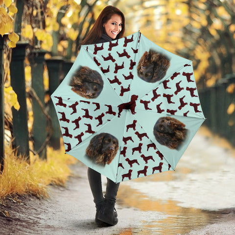 Boykin spaniel Patters Print Umbrellas