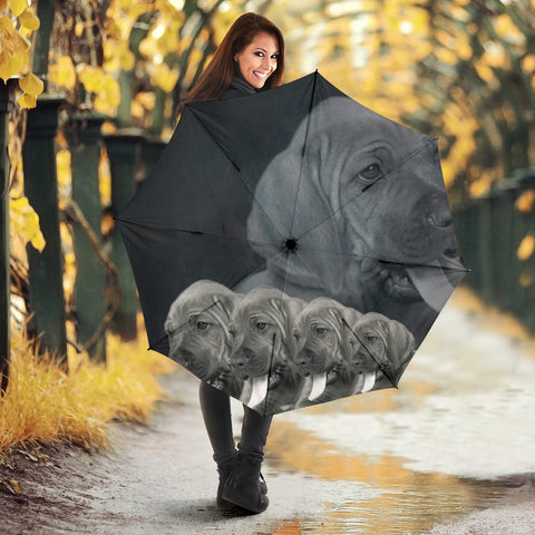 Bloodhound Print Umbrellas- Limited Edition
