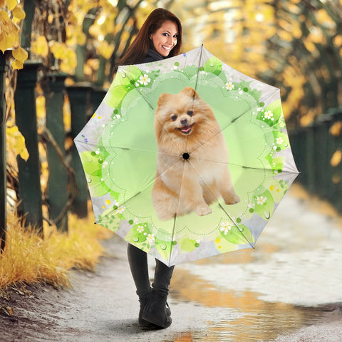 Lovely Pomeranian Dog Print Umbrellas