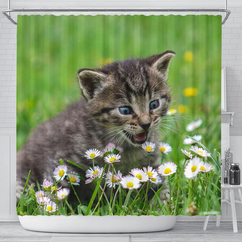Cute American Shorthair Cat Print Shower Curtains