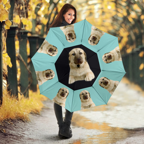 Anatolian Shepherd Dog Print Umbrellas