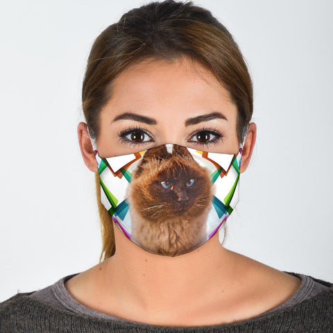 Himalayan Cat Print Face Mask