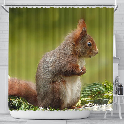 Cute Red Squirrel Print Shower Curtains