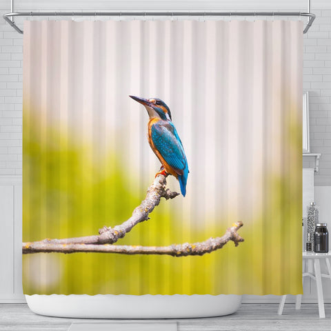 Lovely Kingfisher Bird Print Shower Curtains