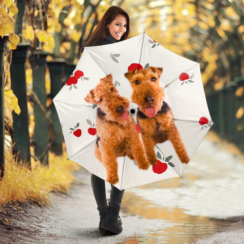 Welsh Terrier Print Umbrellas