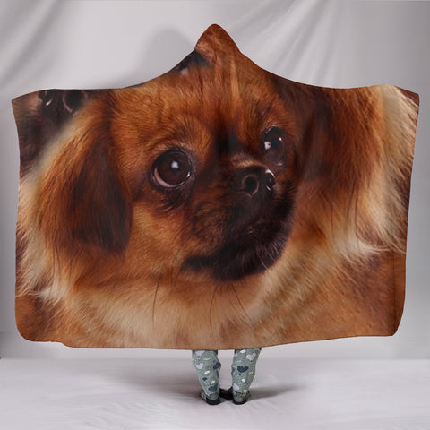 Tibetan Spaniel Print Hooded Blanket