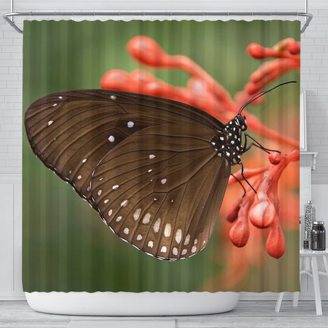 Butterfly Print Shower Curtains