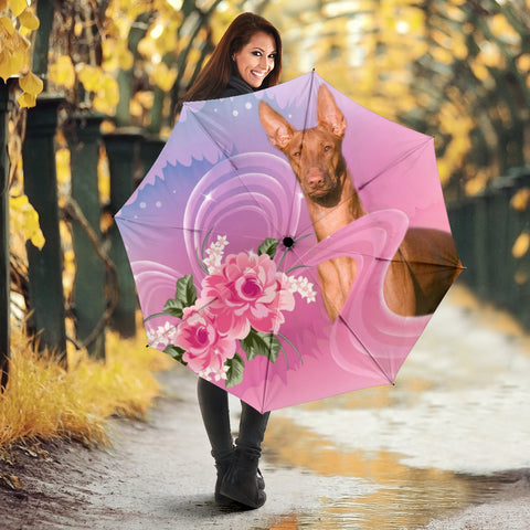 Pharaoh Hound Dog Print Umbrellas