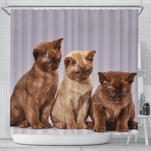 Three Burmese Cat Print Shower Curtain