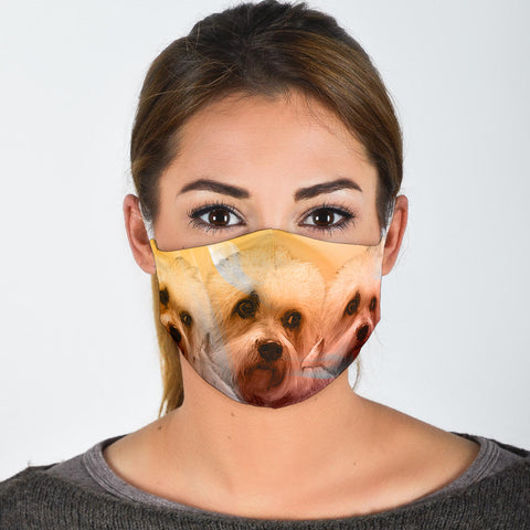 Lovely Dandie Dinmont Terrier Print Face Mask