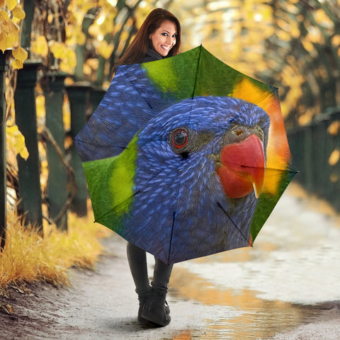 Cute Rainbow Lorikeet Bird Print Umbrellas