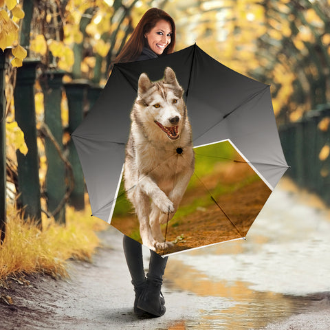 Siberian Husky Dog 3D Print Umbrellas